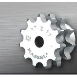 06-B2-10-ZINCIR-DISLISI