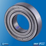 6xxx 2Z Serisi Rulman